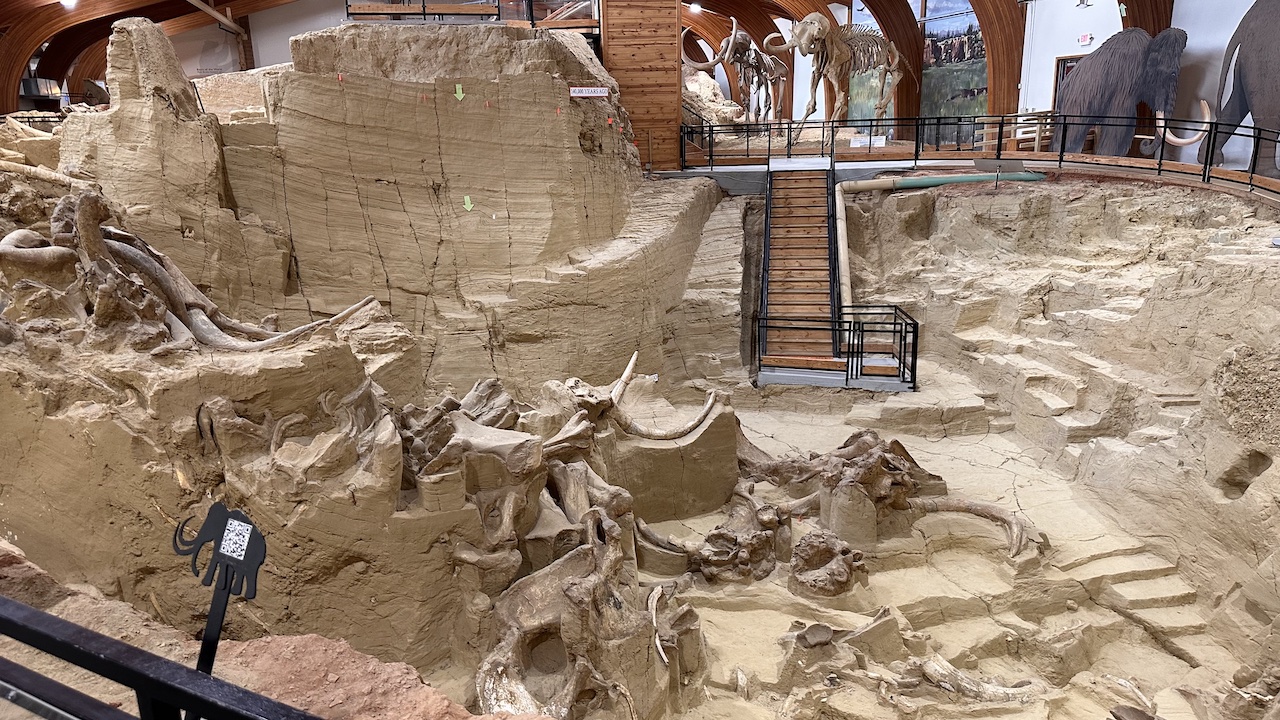The Mammoth Site